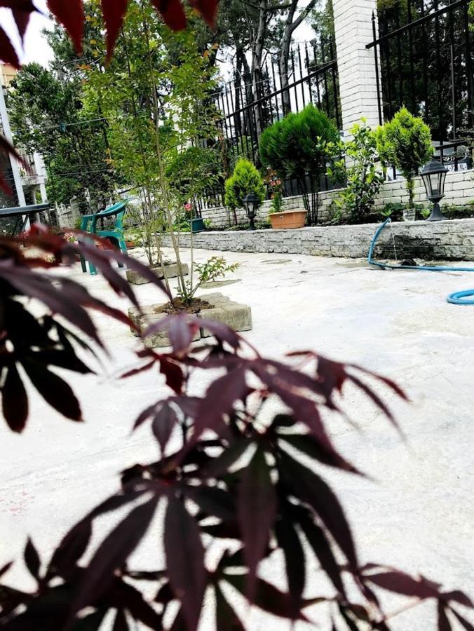Gurya Ξενοδοχείο Kobuleti Εξωτερικό φωτογραφία